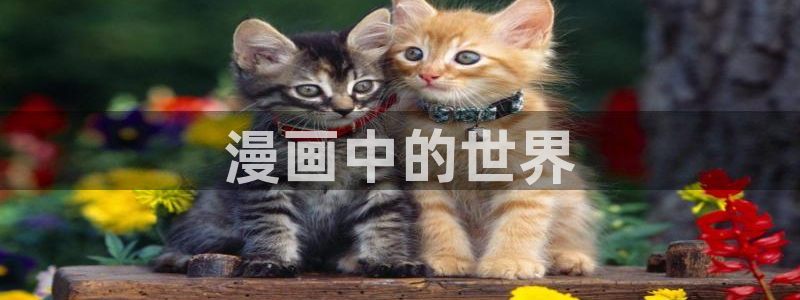 yy漫画免费