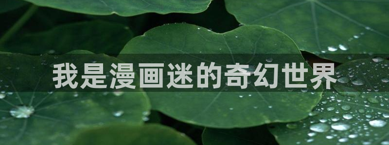 yy漫画免费看漫画：我是漫画迷的奇幻世界