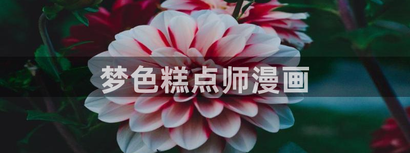 yy漫画登录网站