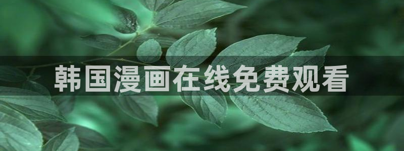 yy漫画无
