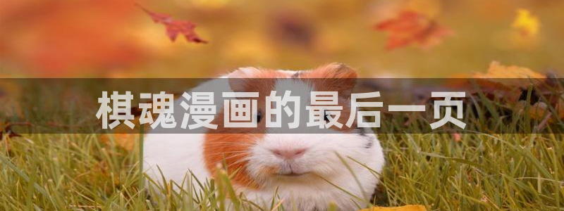 yy漫画首页登录入口：棋魂漫画的最后一页