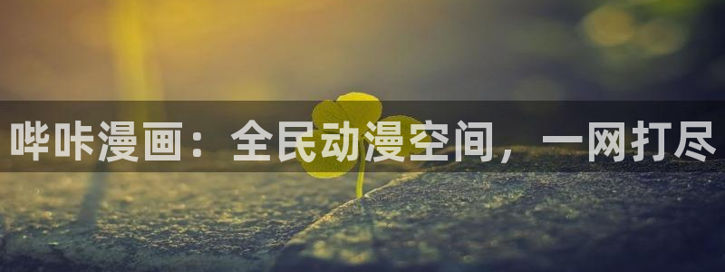 yy漫画首页免费：哔咔漫画：全民动漫空间，一网打尽