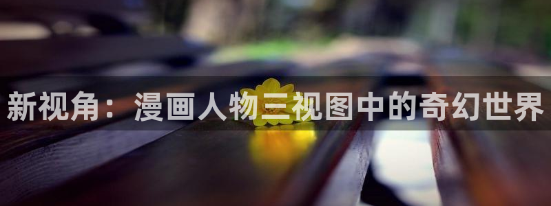 yy漫画www：新视角：漫画人物三视图中的奇幻世界